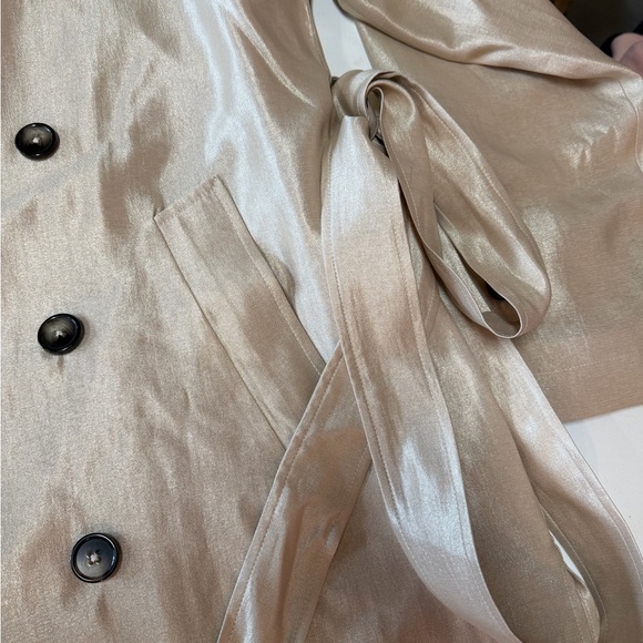 Gerard Darel Champagne Trench Coat - Picture 5 of 9